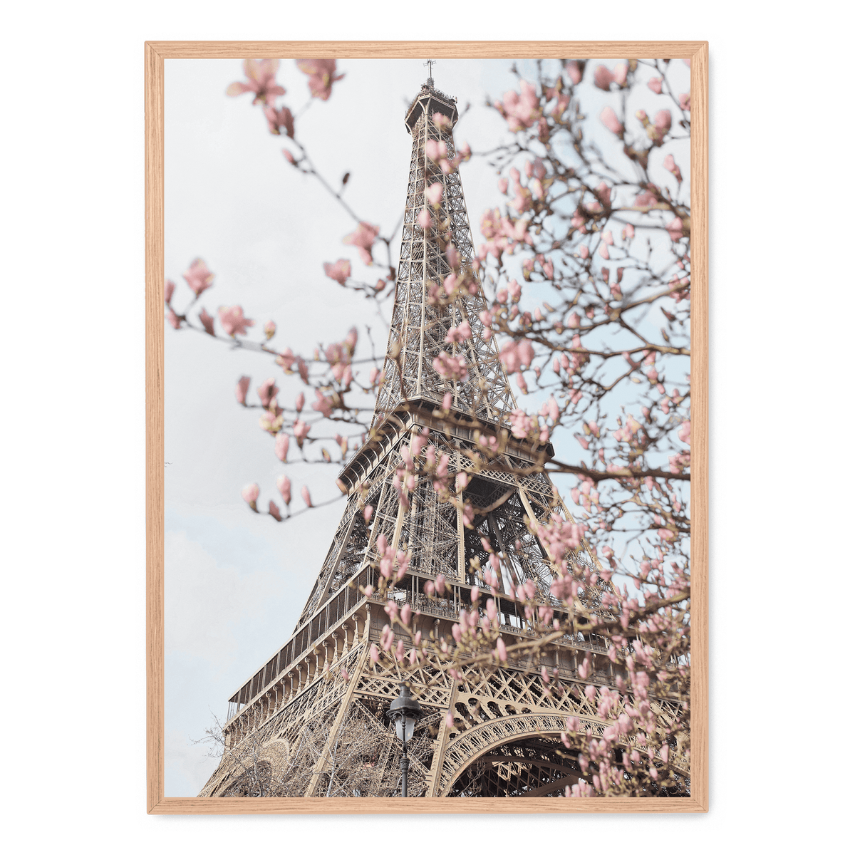 The Eiffel Tower With Flowers Poster 