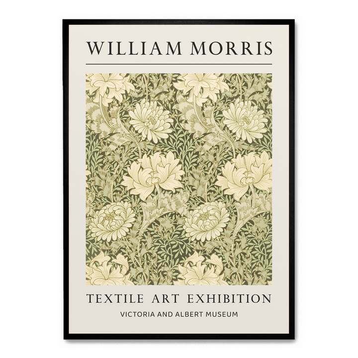 Chrysanthemum Pattern