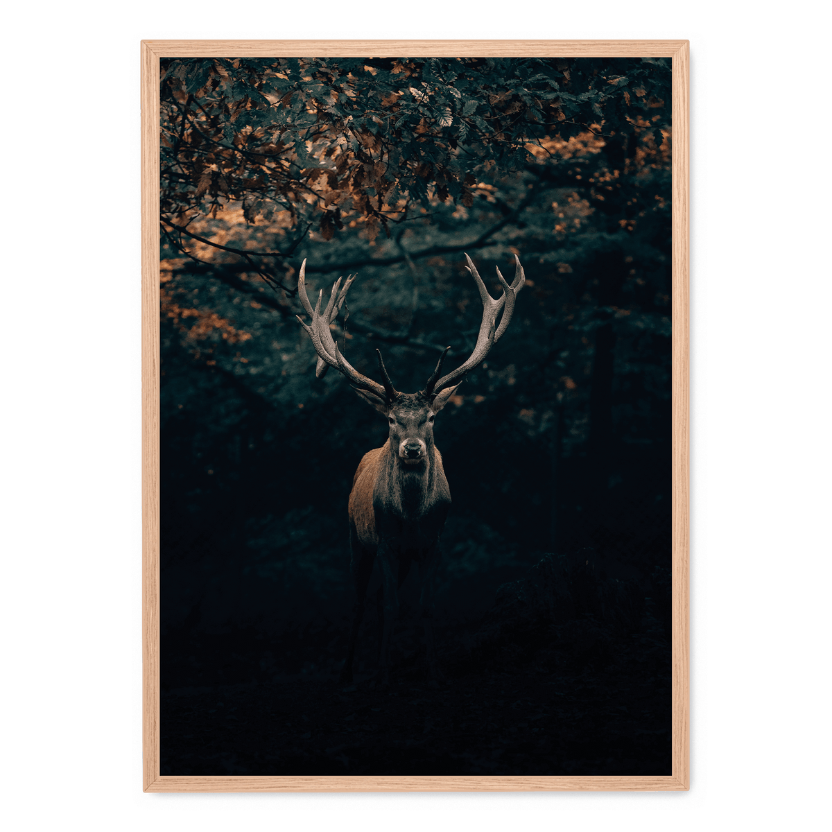 deer-in-the-forest-postera