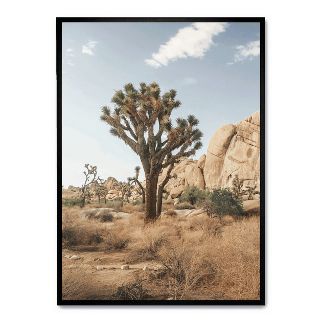 new-posters-buy-posters-online-postera-art