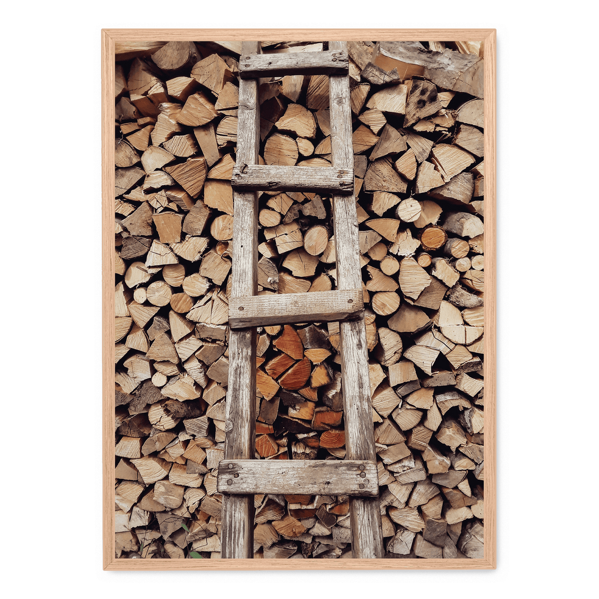 Tree Ladder poster | Postera.art