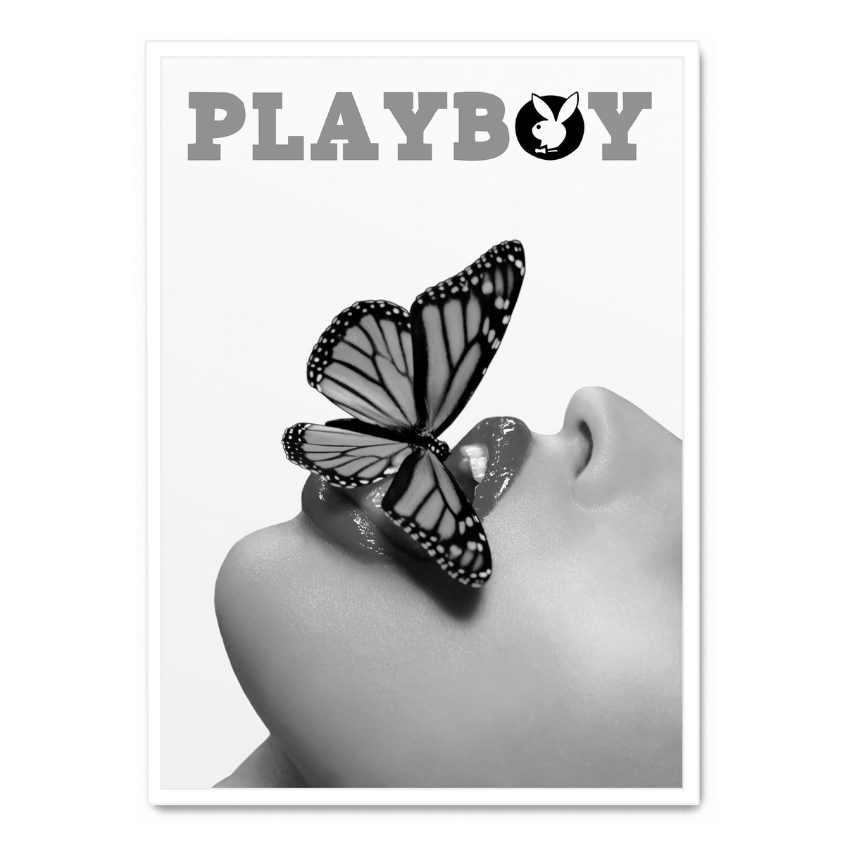 Playboy X Butterfly Poster Postera art playboy-x-butterfly-poster-postera-art