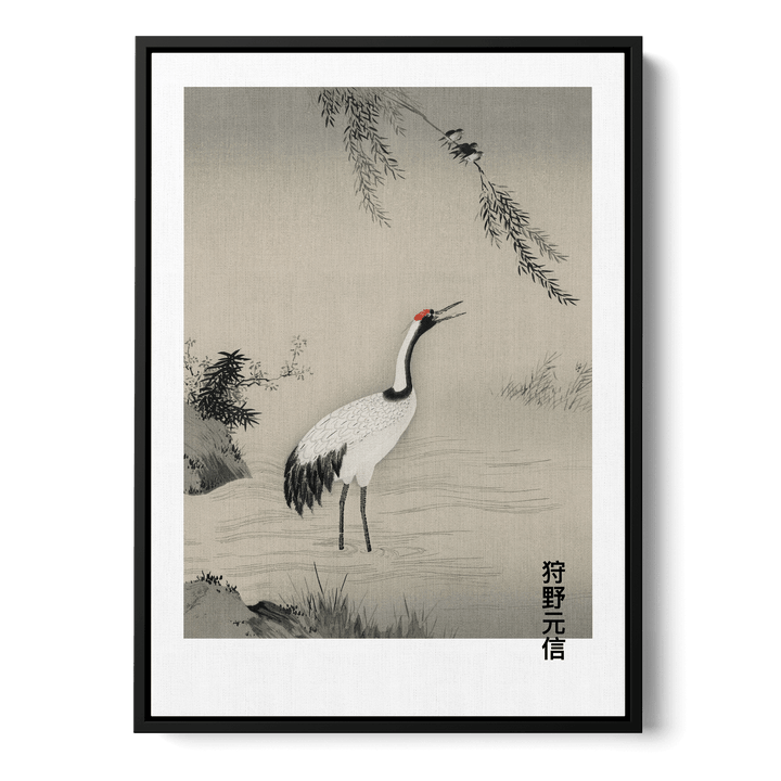 Japanese Crane In Water Canvas