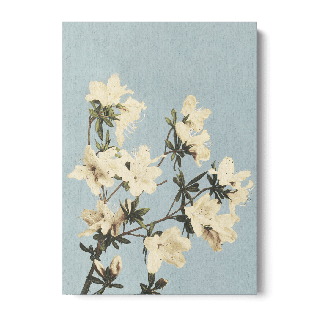 Ogawa Kazumasa - Japanese Azaleas Canvas