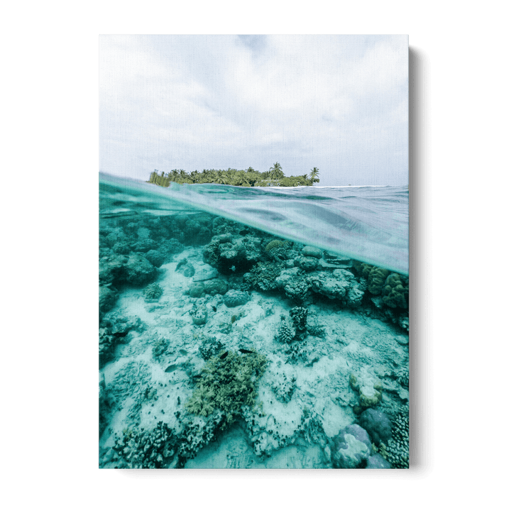 A Look Underwater Canvas