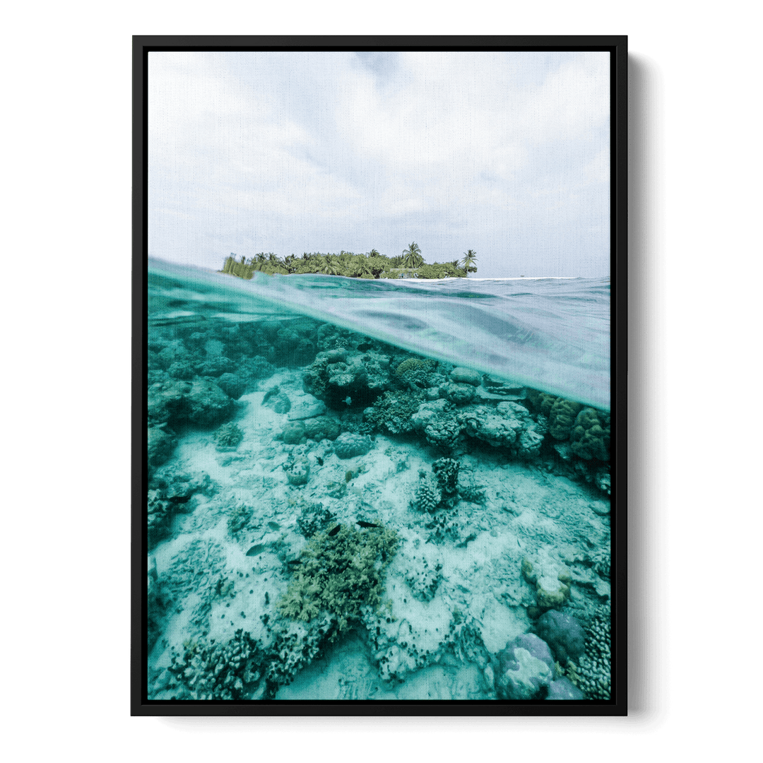 A Look Underwater Canvas