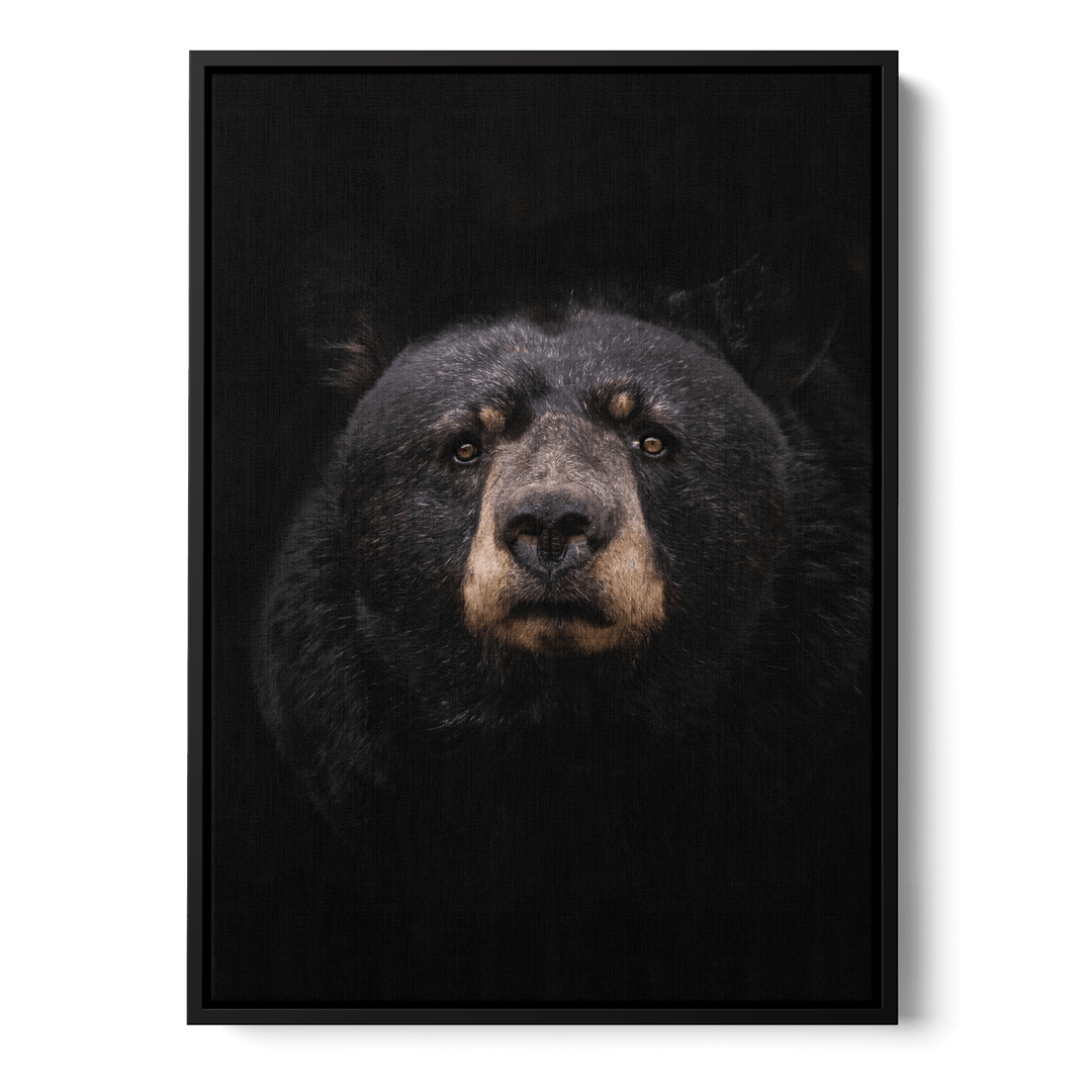 Black Bear Canvas