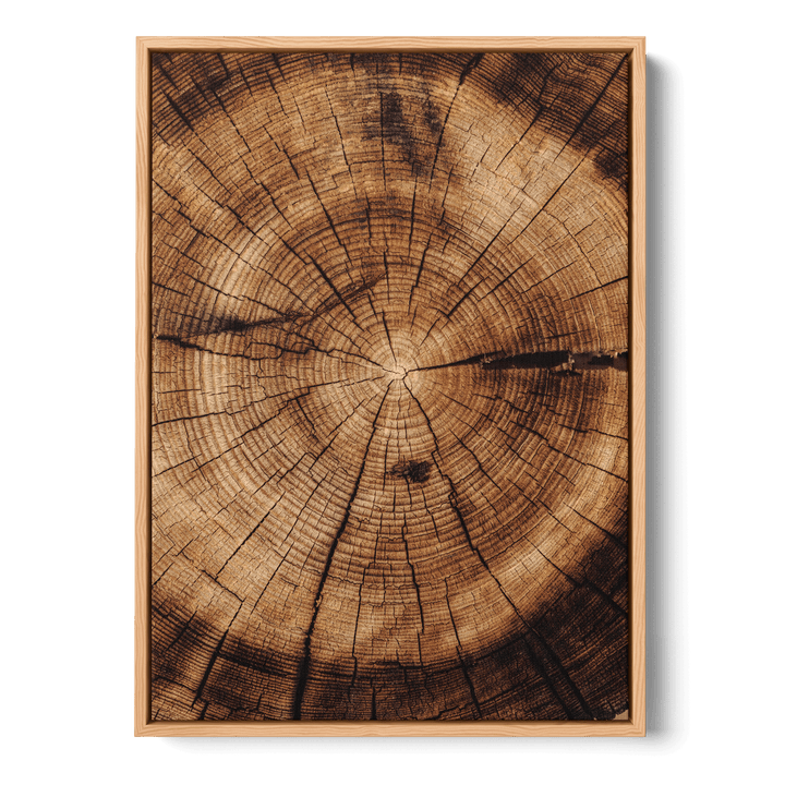 Close Up Of Tree Canvas