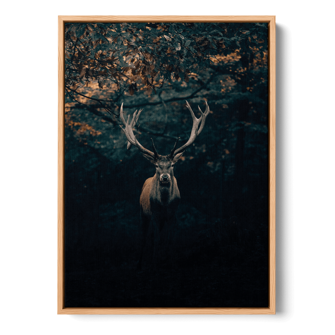 Deer In The Forest Canvas