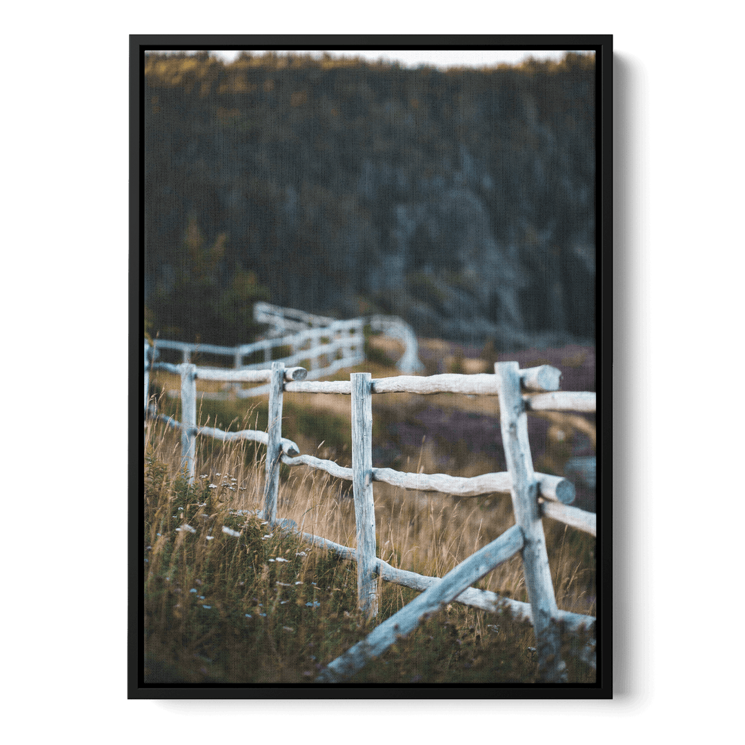 Fence In The Field Canvas