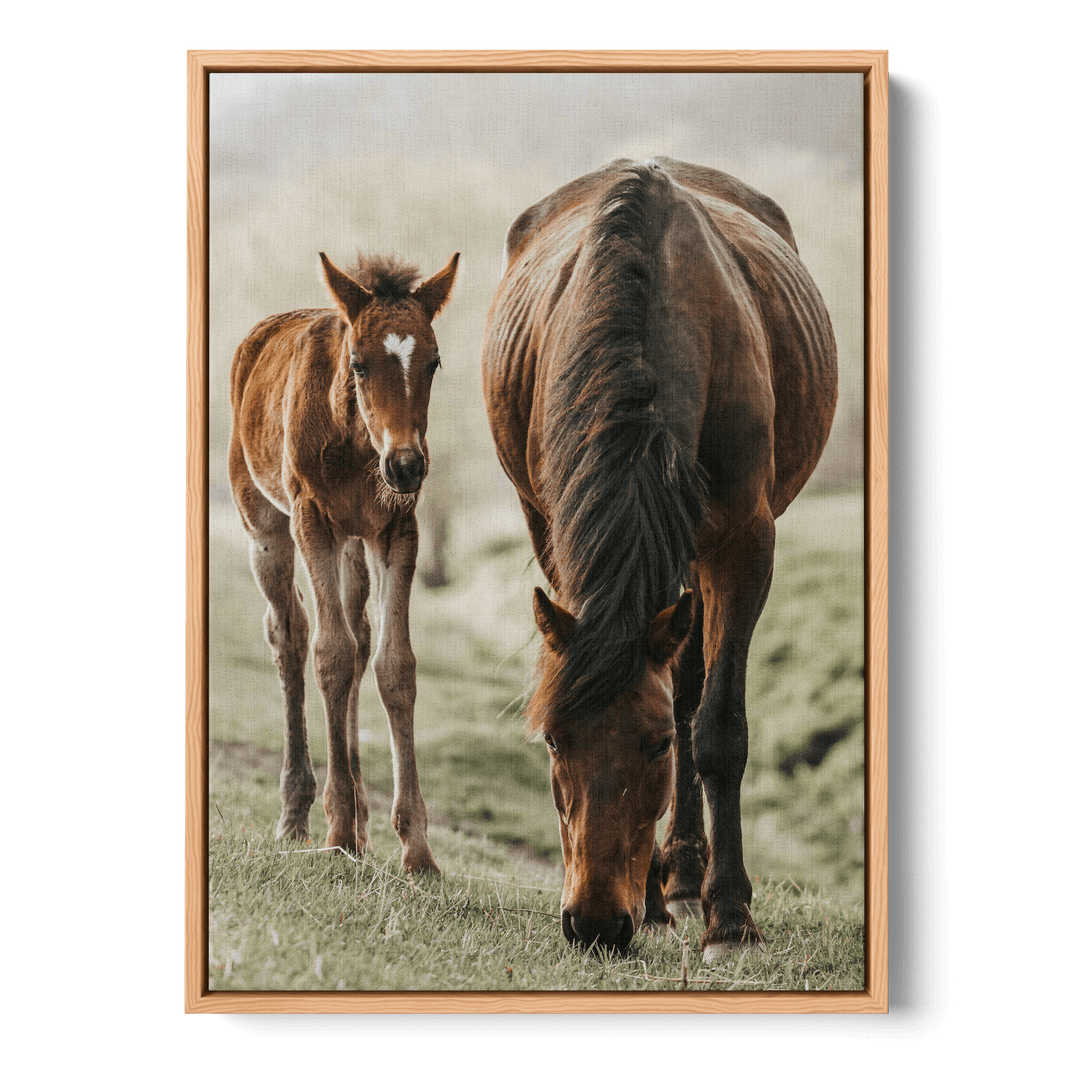 Horse And Foal Canvas