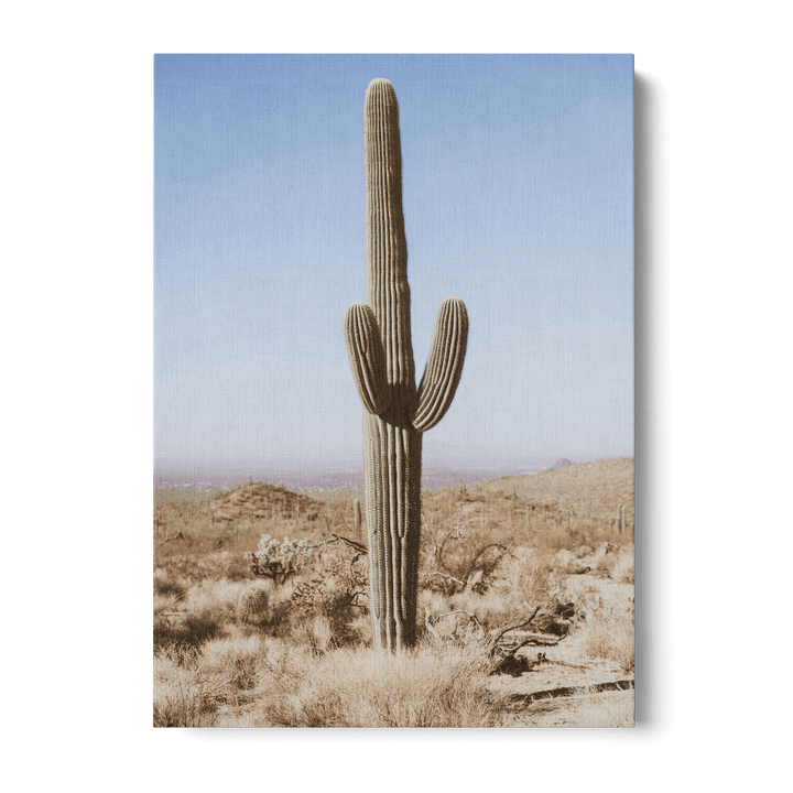 Large Cactus Canvas