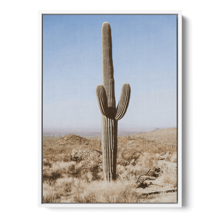 Large Cactus Canvas