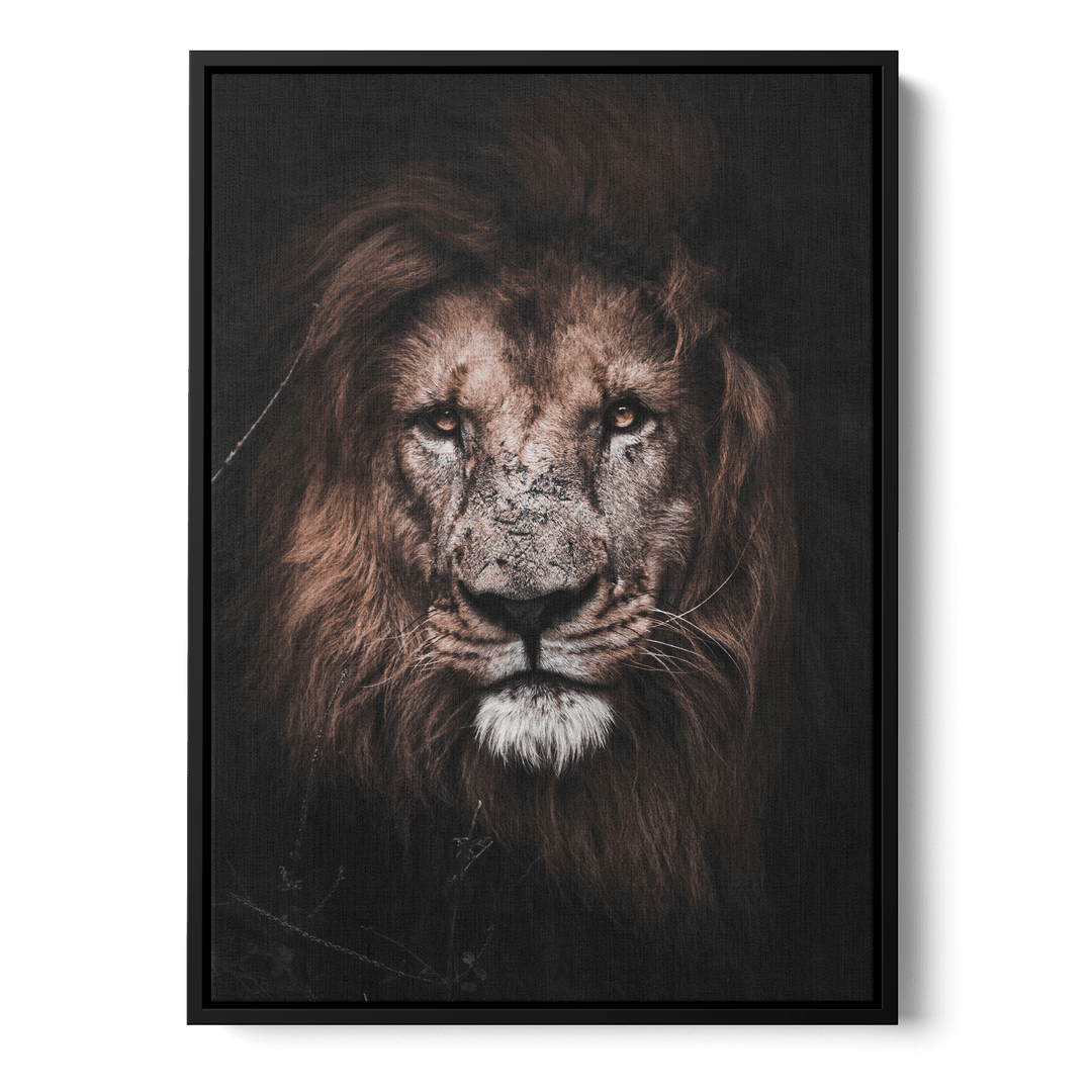 Lion Canvas
