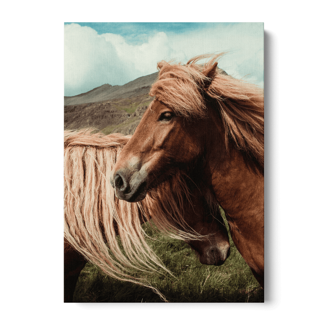 Loving Horses Canvas