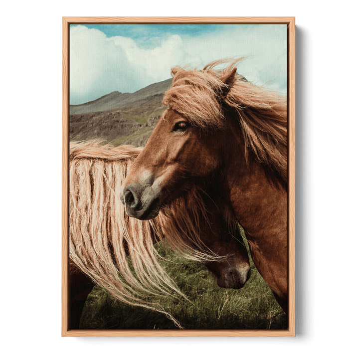 Loving Horses Canvas