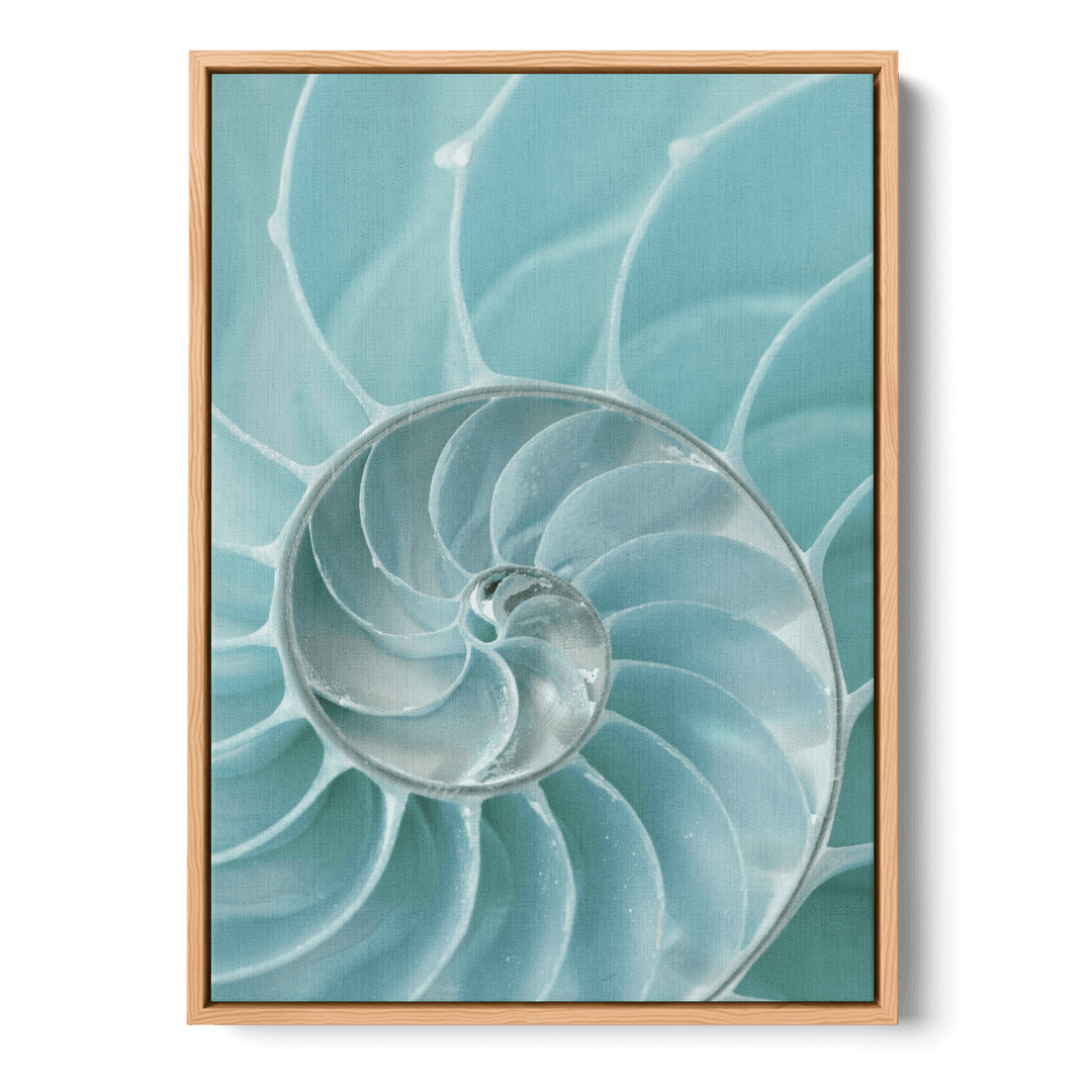 Nautilus Shell Canvas