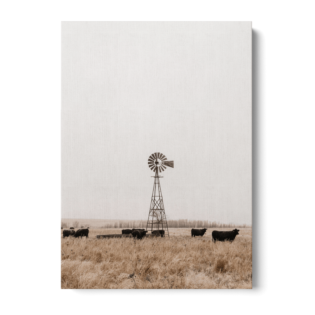 Old Fashioned Windmill Canvas