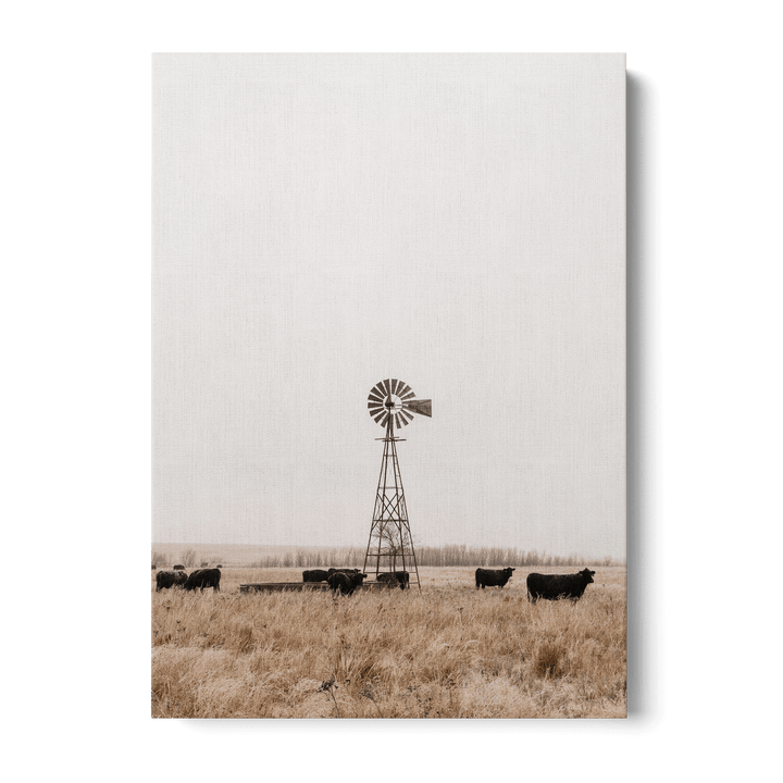 Old Fashioned Windmill Canvas