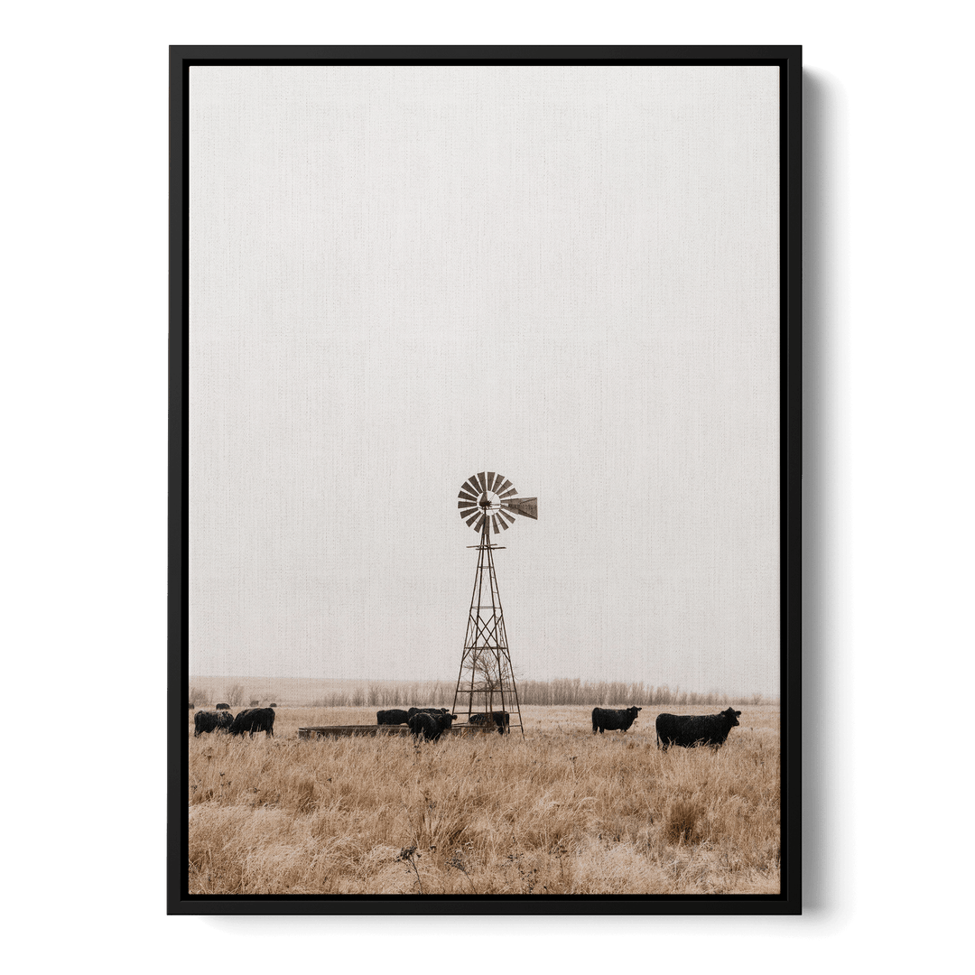 Old Fashioned Windmill Canvas