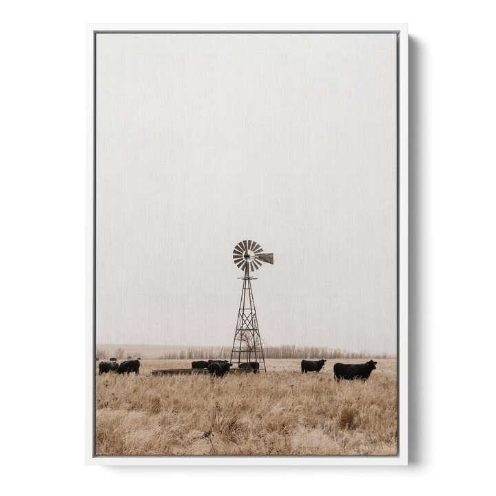 Old Fashioned Windmill Canvas