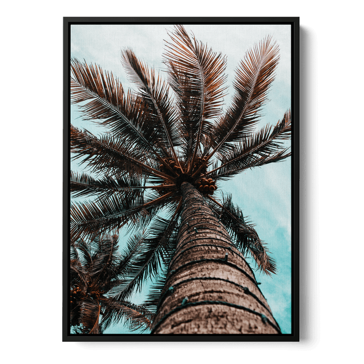 Palm Tree Canvas