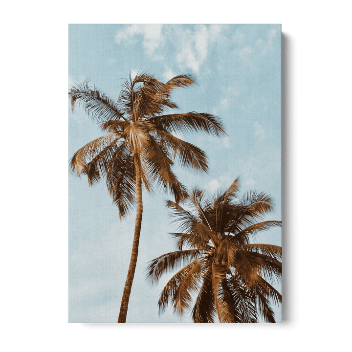 Palm Trees Canvas