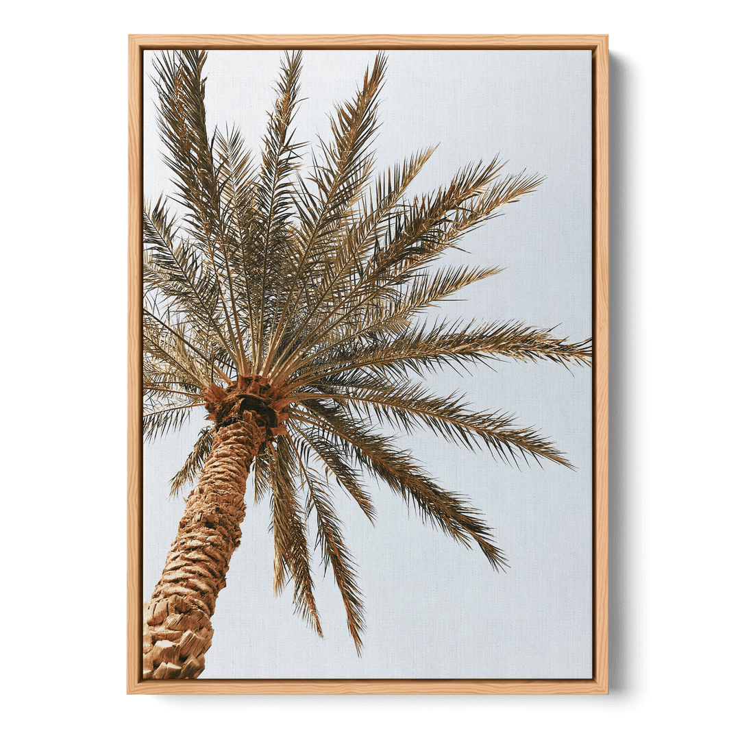 Palm Tree Seen From Below Canvas