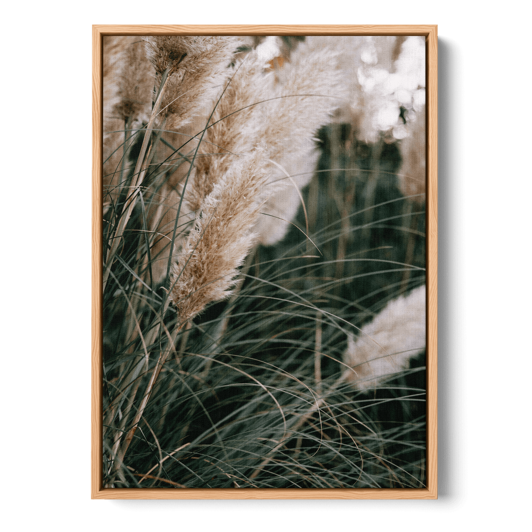 Pampas Canvas