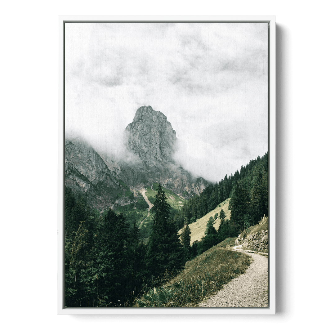 Path Overlooking The Mountains Canvas