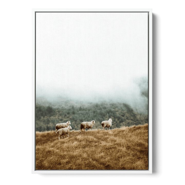 Sheep In The Meadow Canvas