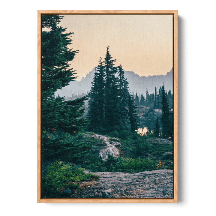 Sunshine In The Woods 2 Canvas