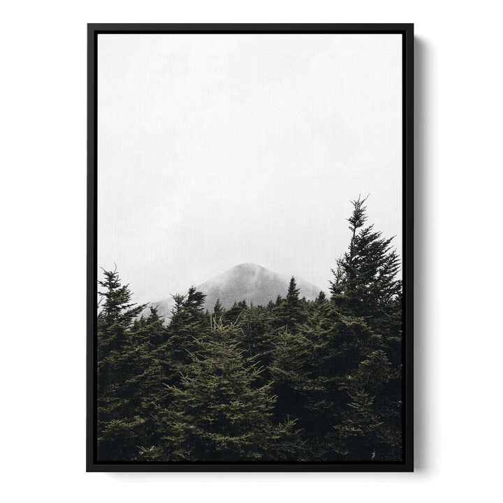 Top Of Pinetrees Canvas