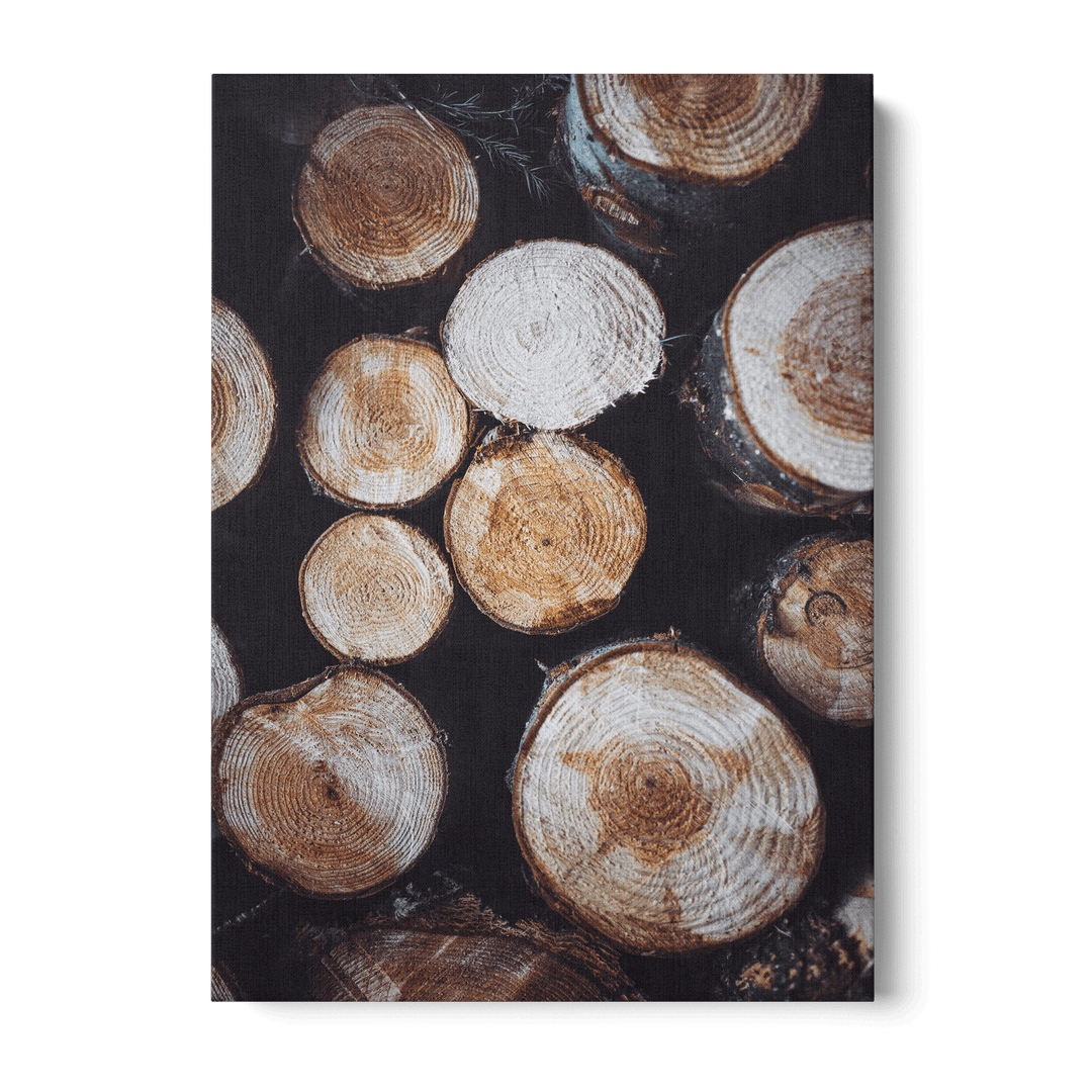 Tree Stumps Canvas
