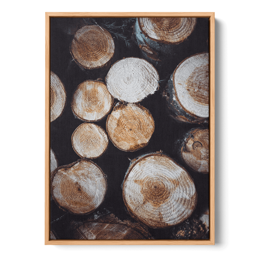 Tree Stumps Canvas