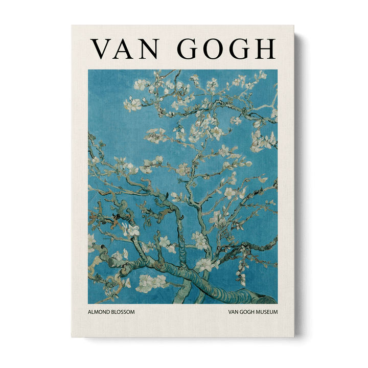 Almond Blossom Canvas