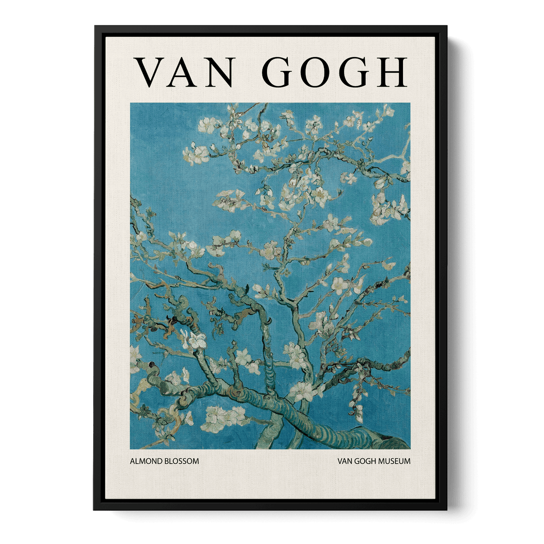 Almond Blossom Canvas