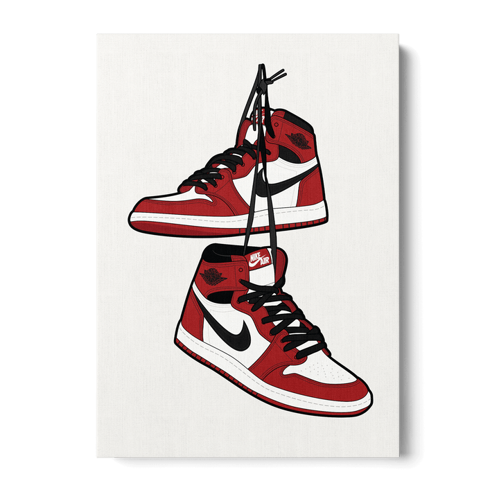 Nike Air Jordan Canvas