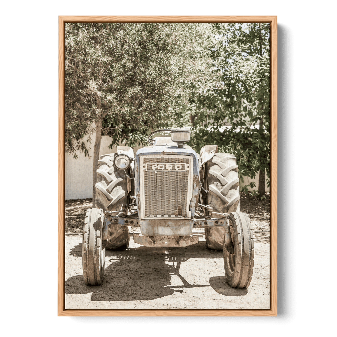 Ford Canvas