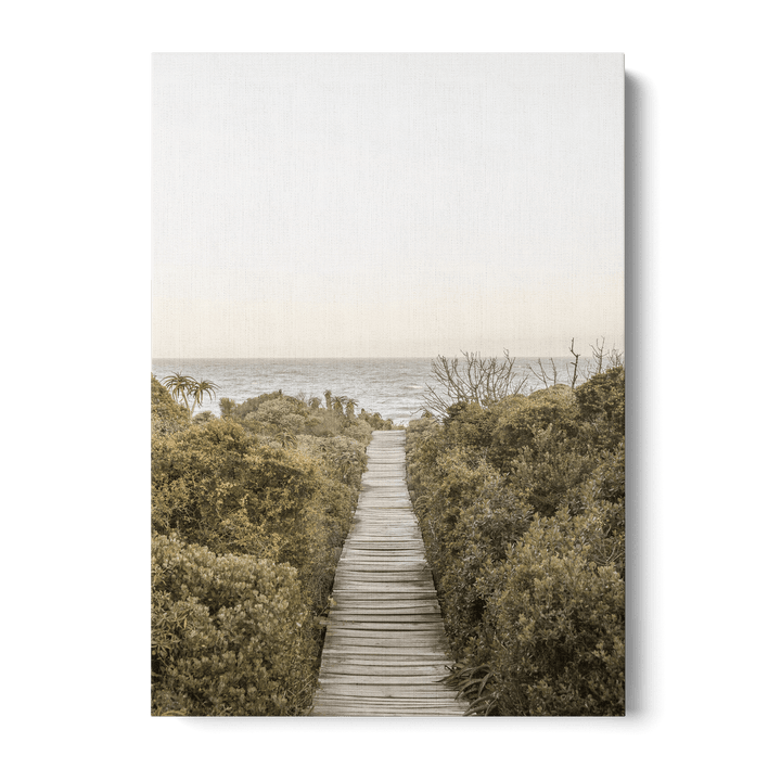 Boardwalk Canvas