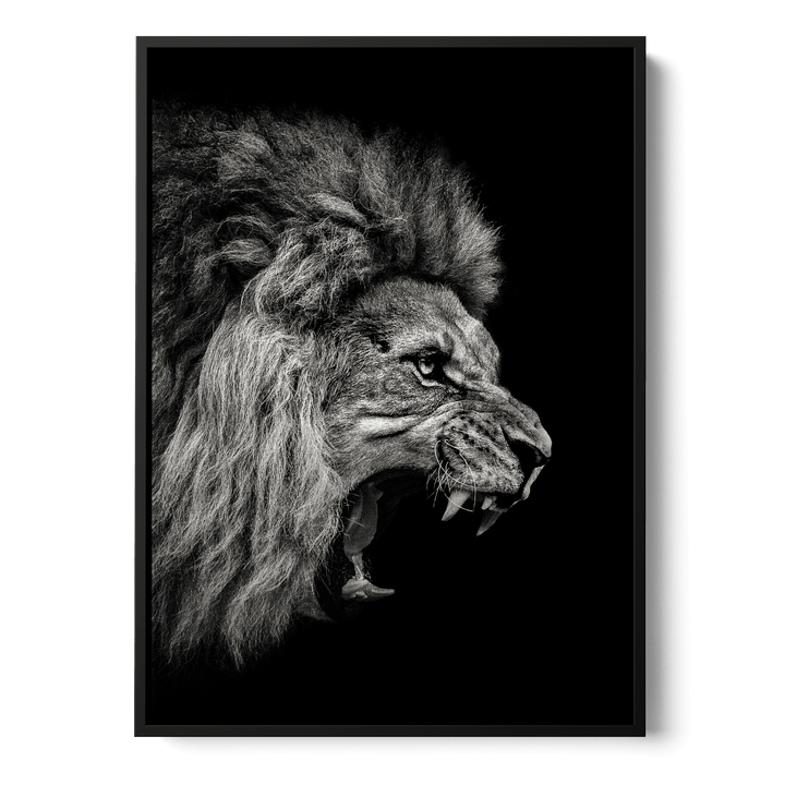 Roaring Lion Canvas