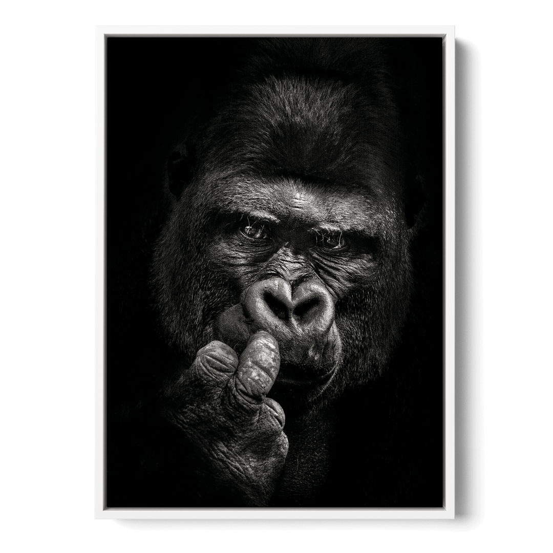 Attitude Canvas