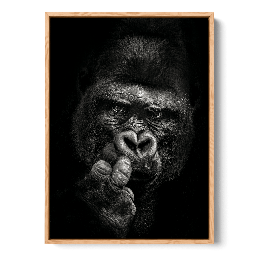 Attitude Canvas