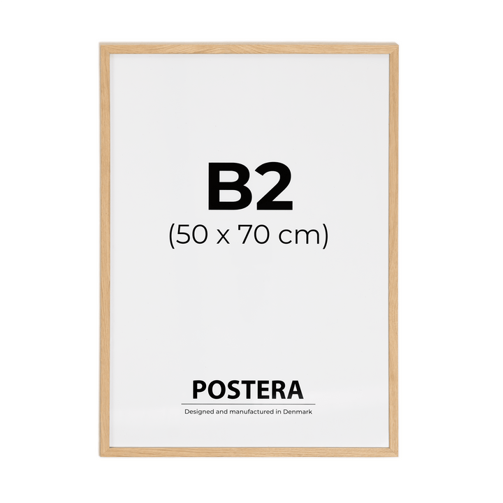 Light oak frame - B2