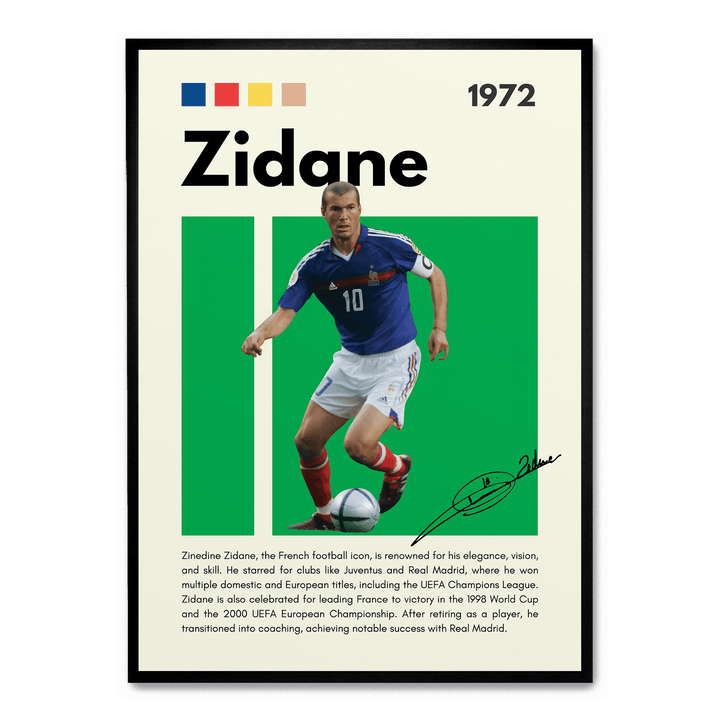 Zinedine Zidane Football Icons