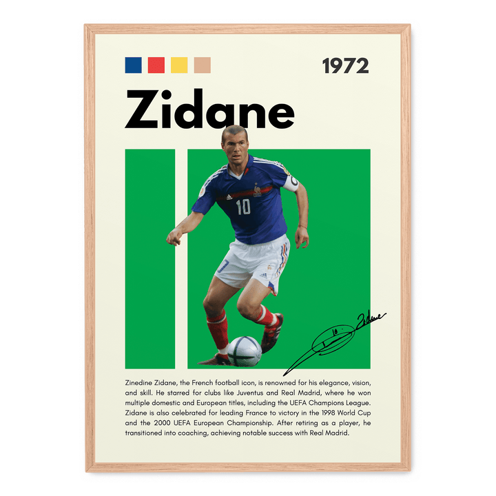Zinedine Zidane Football Icons