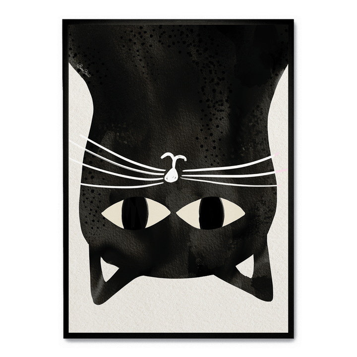 Black Cat Upside Down