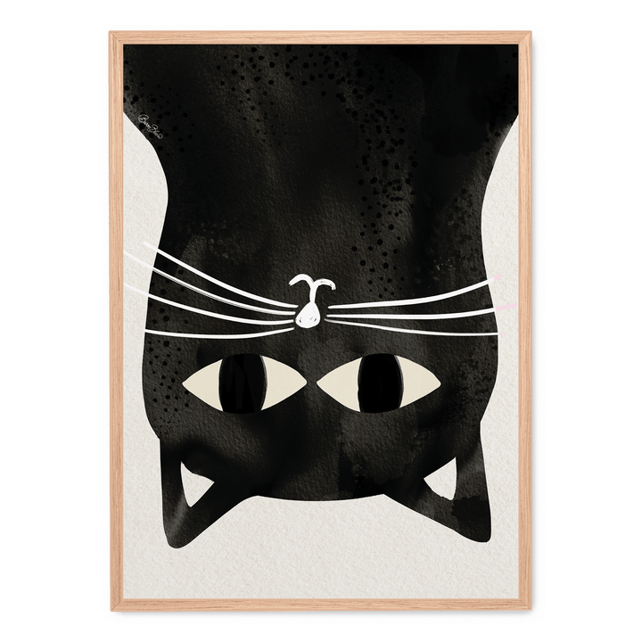 Black Cat Upside Down
