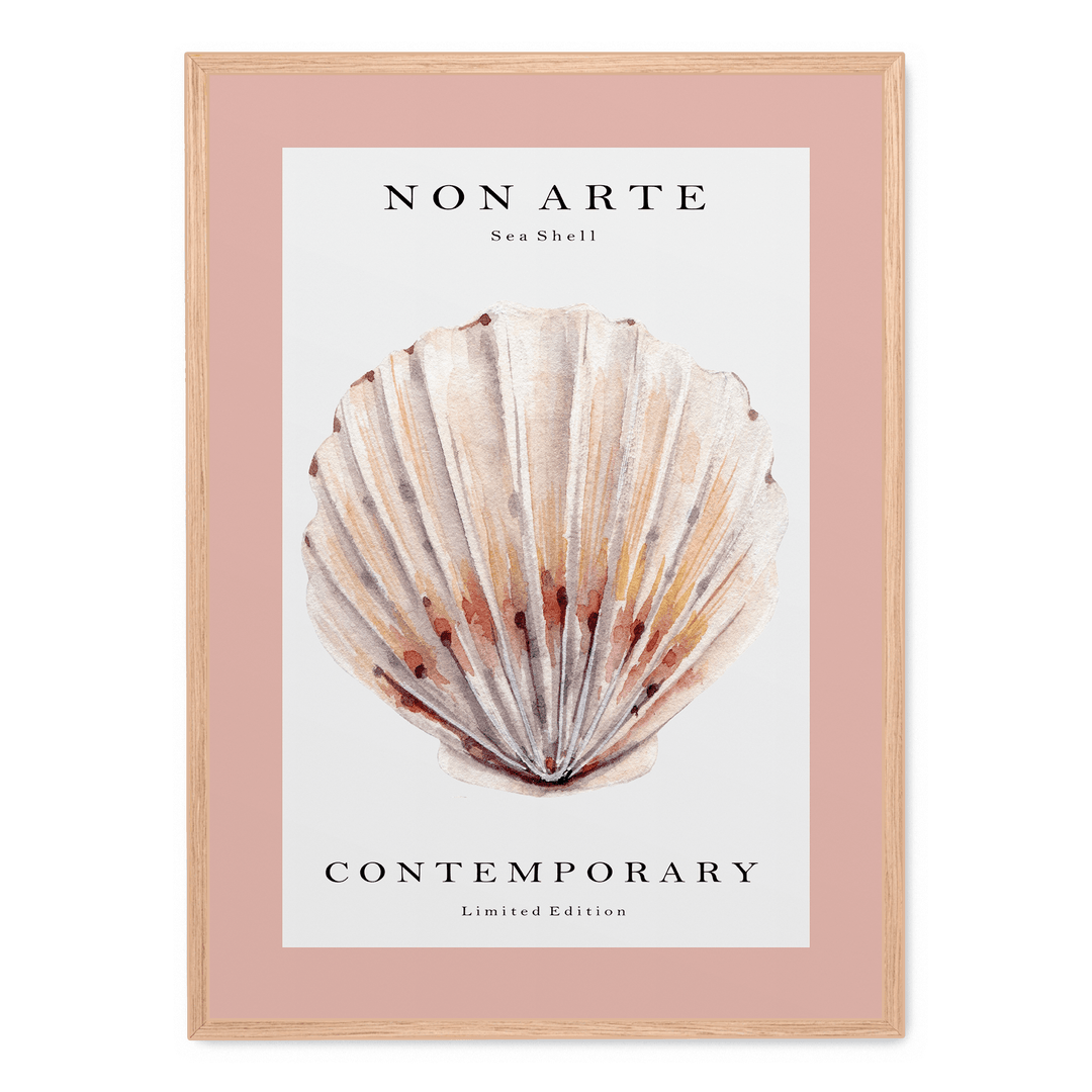 Non Arte Sea Shell