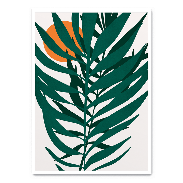 Little Miss Sunshine